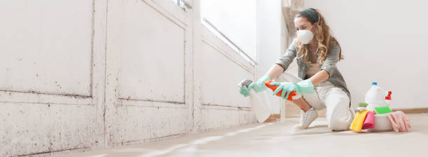 Professional Mold Inspection, Removal & Remediation in Rowland Heights, CA